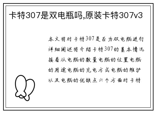卡特307是双电瓶吗,原装卡特307v3